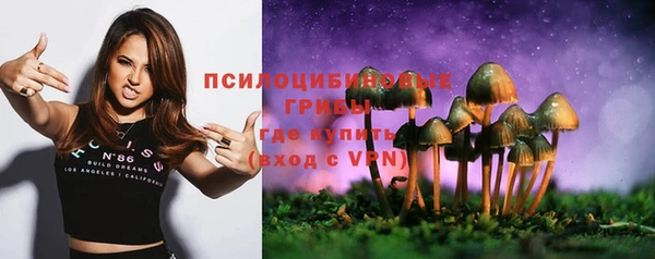 тгк Зеленодольск