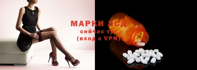 PSILOCYBIN Зерноград