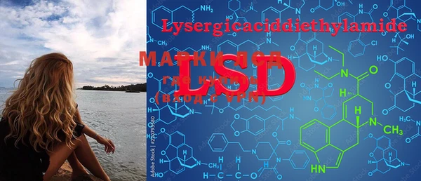 PSILOCYBIN Зерноград