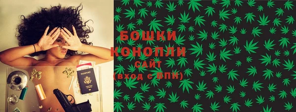 PSILOCYBIN Зерноград