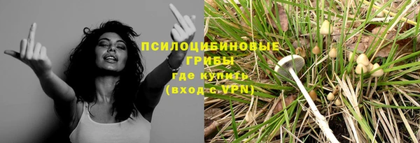 трава Зеленокумск