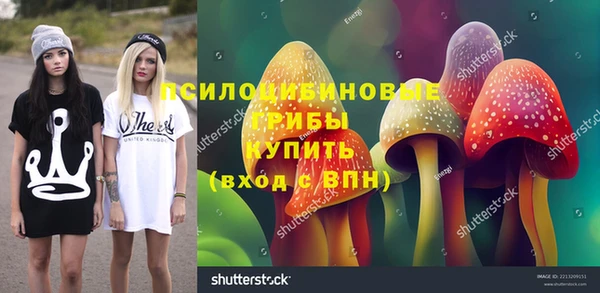PSILOCYBIN Зерноград