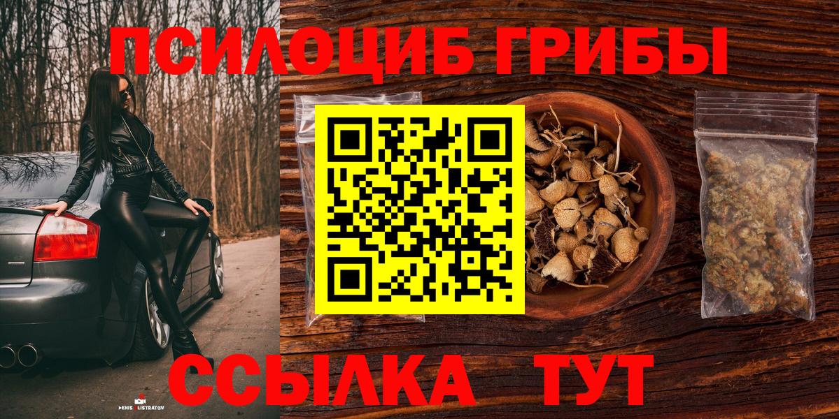 Кашира  Псилоцибиновые грибы Magic Shrooms  Вход с VPN 